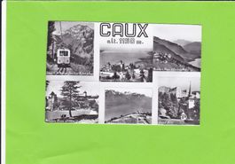 Caux