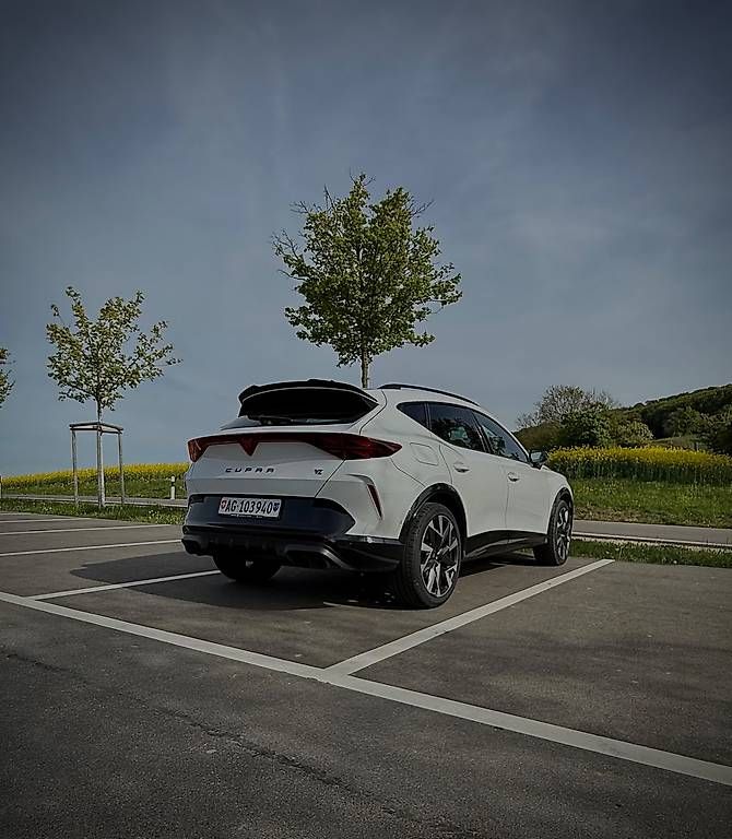 Automobili: Cupra Formentor 2.0TSI VZ – Usato da Beinwil am See venduto da alo_58nm