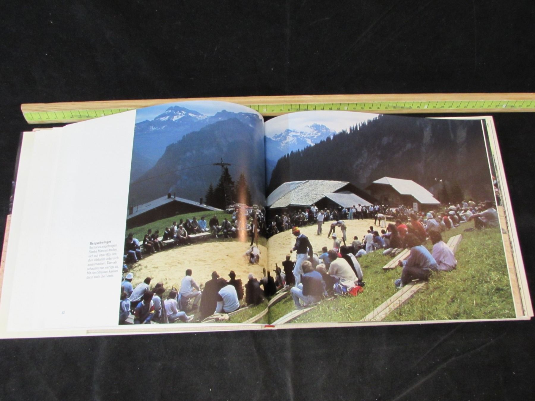 Grafica & Litografie: Schwingen, 19.Jh. – Usato da Walchwil venduto da Shells1 6