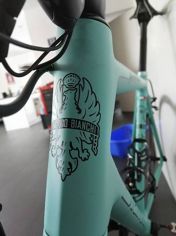 Bianchi Biciclette: Bianchi Specialissima mit Campy Super Record – Usato da Worb venduto da tisupeter 2