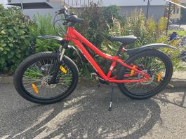 California Astro Mountainbike - 24 Zoll