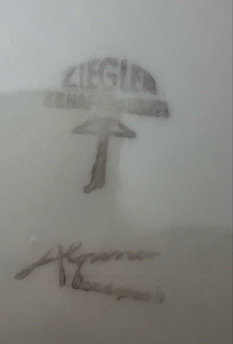 Assiettes: Ziegler Keramik Teller 30cm Durchmesser – D'occasion à Härkingen par hamschter73 1
