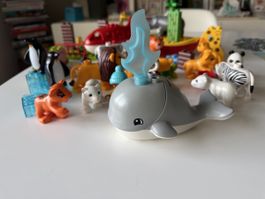 Duplo Set