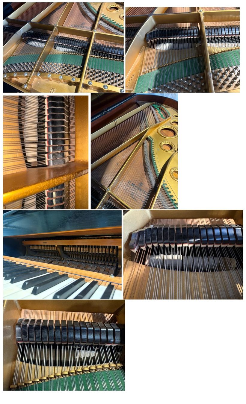 Strumenti musicali: Flügel C. Bechstein Berlin – Usato da Buchs SG venduto da MMmmnS 6