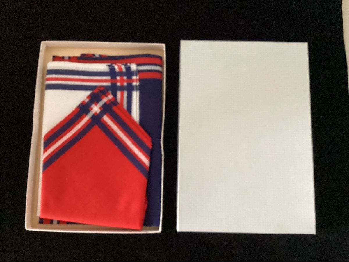 Altro in  Abbigliamento & Accessori: Stofftaschentücher - 3-er Set – Nuovo e nell'imballaggio originale da Salenstein venduto da Esprit57