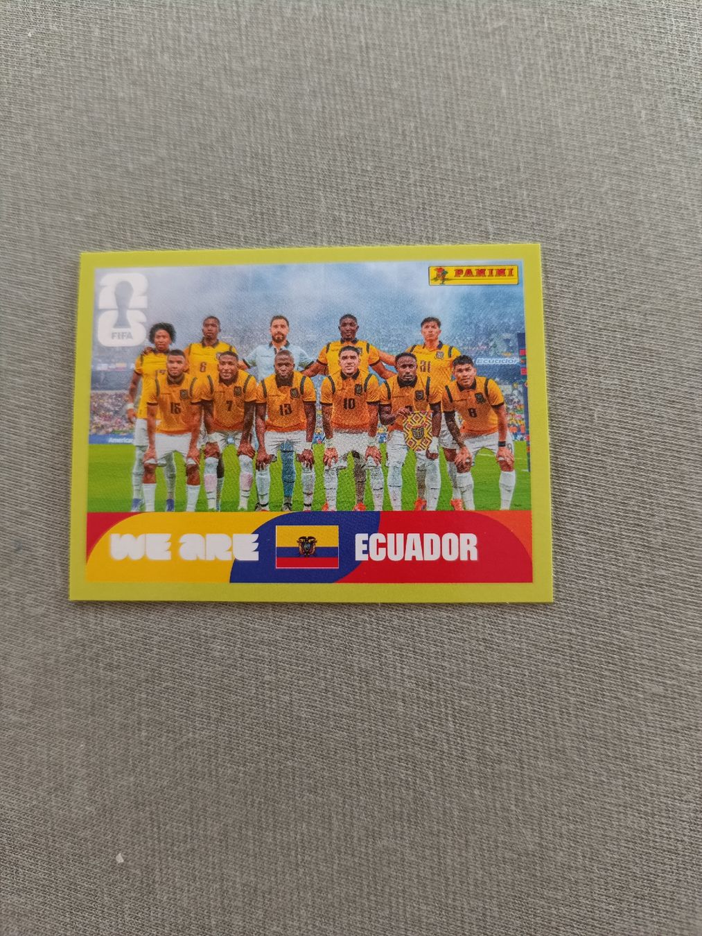 Panini Sammelbilder & Trading cards: Panini ECU13 – Neu und originalverpackt aus Muri AG von Puschelknuffel
