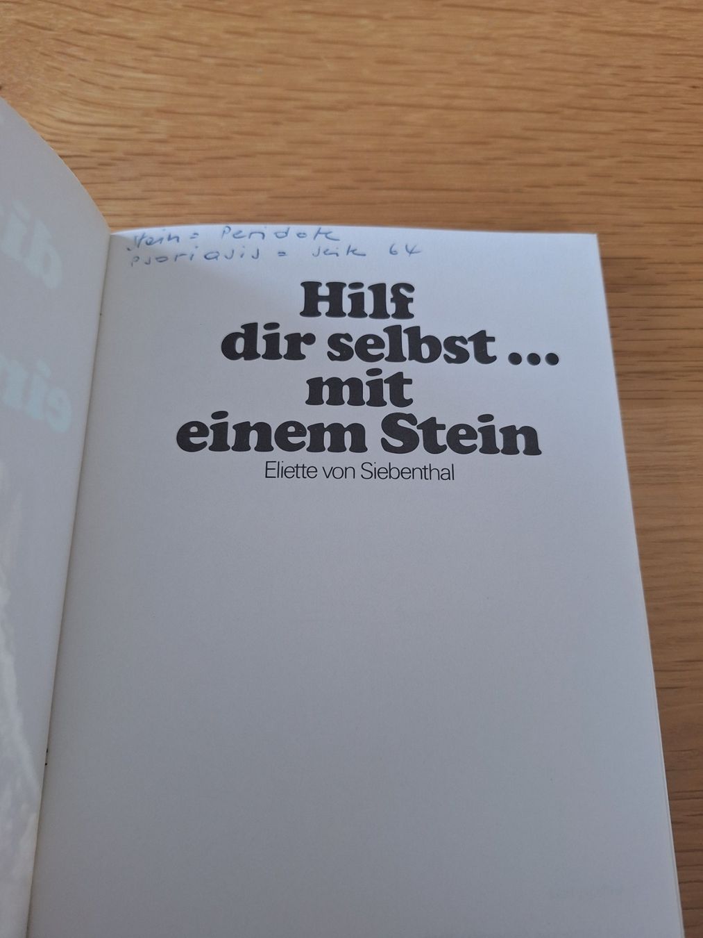 Bücher: Buch Hilf dir selbst mit einem Stein Eliette von Siebenthal – Gebraucht aus Wanzwil von chlinih93 1