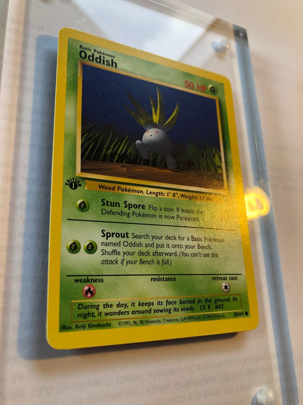 Carte collezionabili: Oddish 1st Jungle - LP/NM - ab 1.- – Usato da Giubiasco venduto da dan_pr8b 1