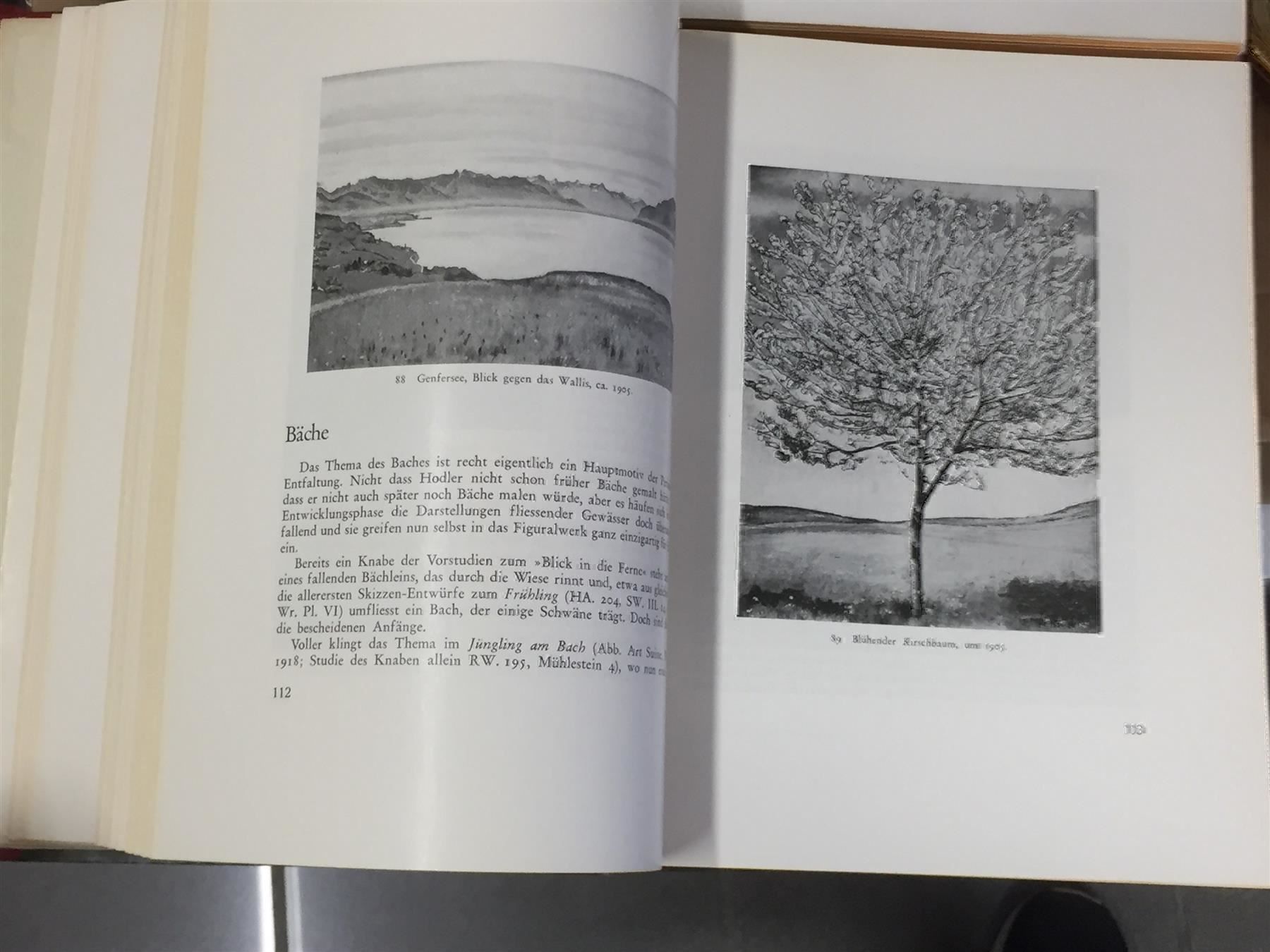 Foto & Immagini: BENDER / MüLLER die Kunst Ferd.  Hodlers – Usato da Bern venduto da Jwpm66 3