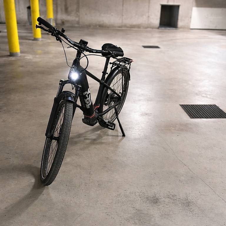 Biciclette: Elektrovelo - verhandelbar  – Usato da Fehraltorf venduto da Debora06