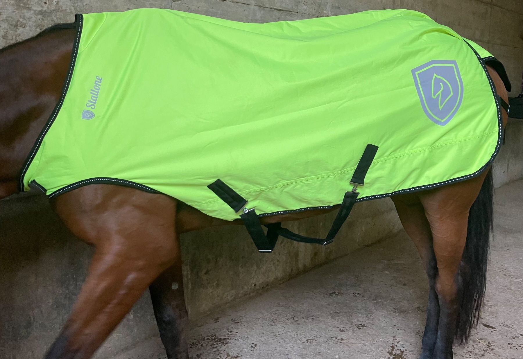 Decken & Deckenzubehör: Stallone reflektierende Walker Rug – Gebraucht aus kottwil von opononi 1