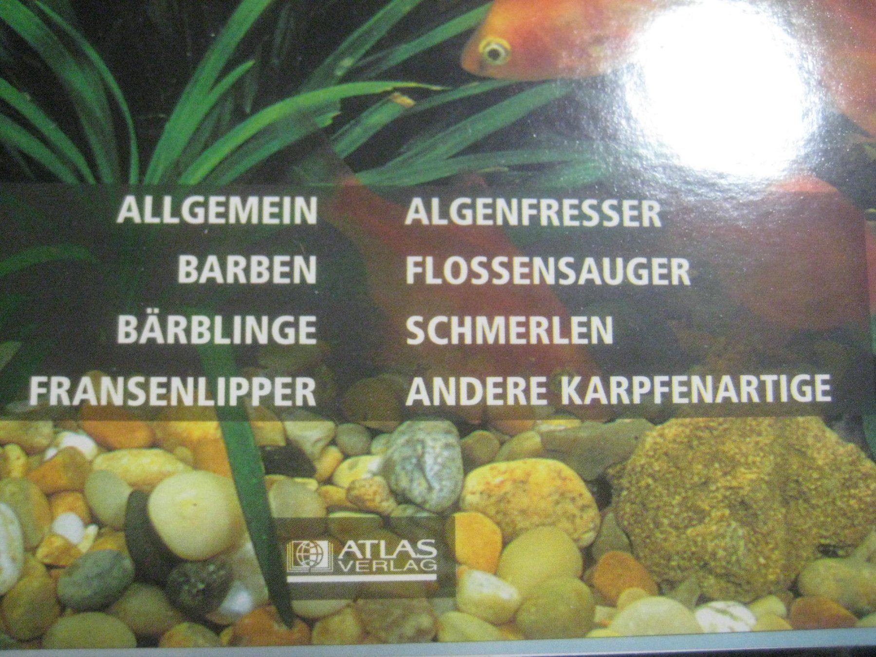 Libri: GROSSER SAMMEL  ORTNER  AQUARIUM – Nuovo (secondo la descrizione) da Uster venduto da flocke1 2