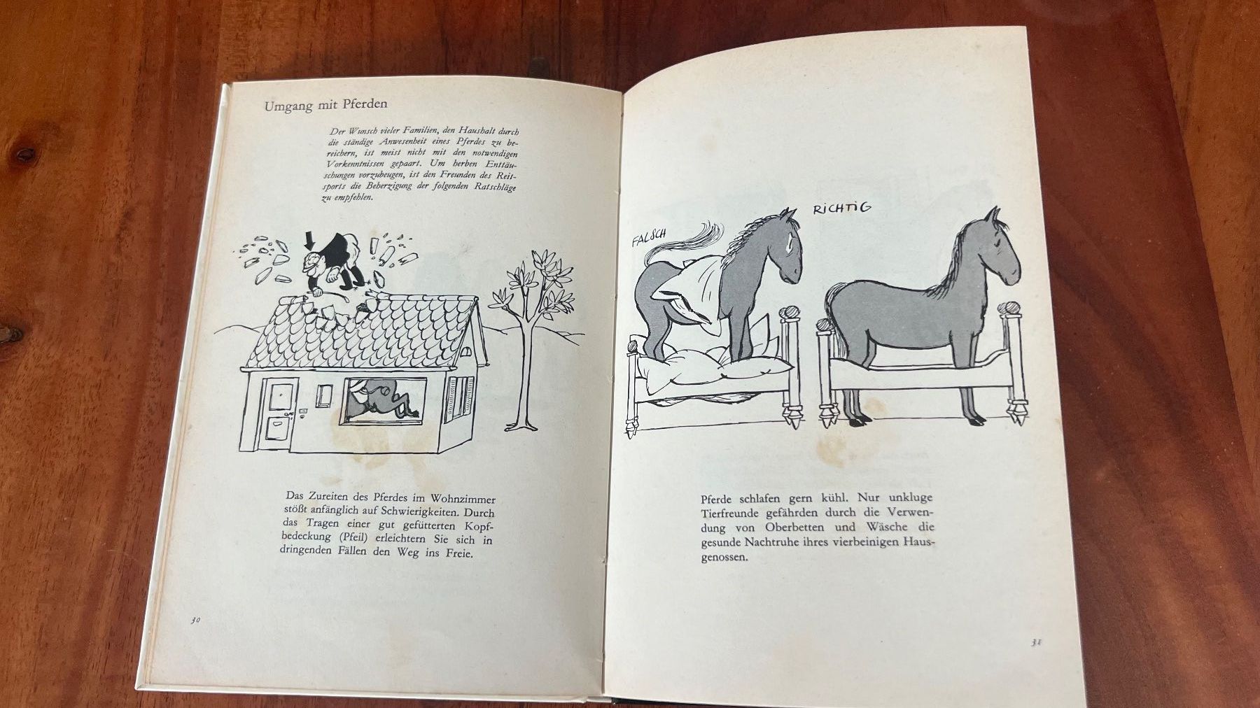 Libri: Loriot - Umgang mit Tieren: Ein Diogenes 1962 – Usato da Schübelbach venduto da Dolly990_2 2
