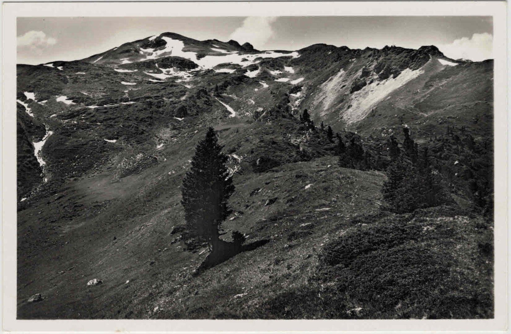 Cartoline postali: SG 82 Maskenkamm und Zieger – Nuovo (secondo la descrizione) da Fribourg venduto da philafri