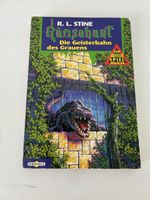Gänsehaut Die Geisterbahn des Grausens Buch 1