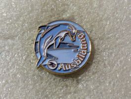 Ansteckpin 131: Delfin