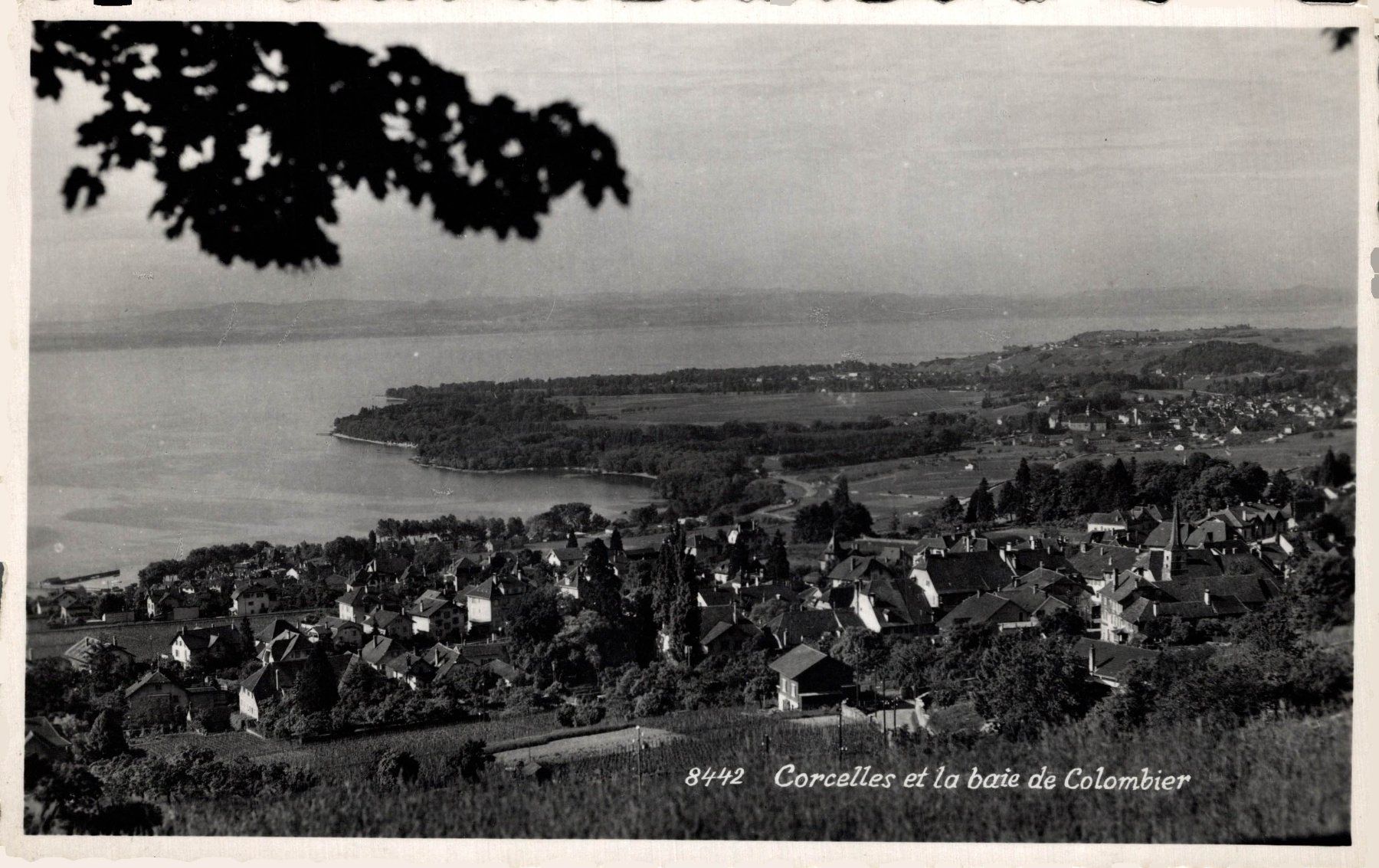Cartoline postali: Corcelles et la baie de Colombier – Usato da Bronschhofen venduto da Astore
