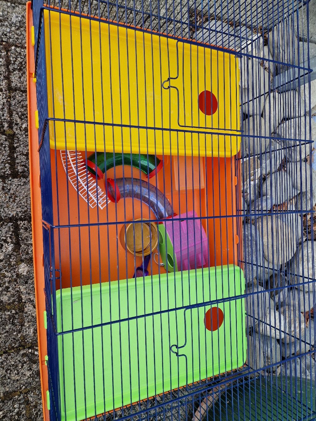 Gabbie, trasporto & Sicurezza: Hamstergehege – Usato da Beinwil am See venduto da LauRii_x33