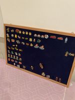 Pins Sammlung