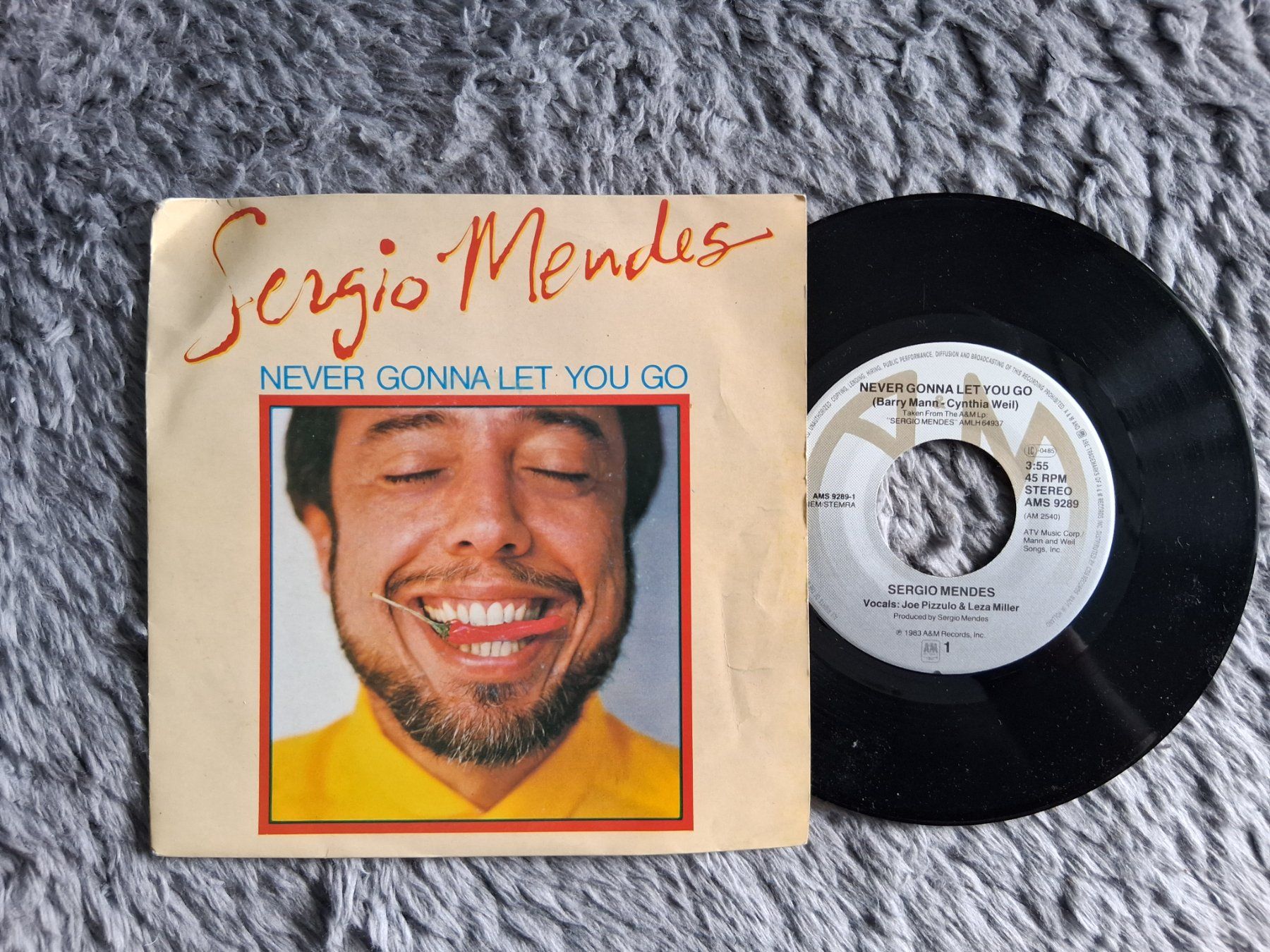 Schallplatten: SERGIO MENDES     NEVER GONNA LET YOU GO    7NER SINGLE – Gebraucht aus Wetzikon ZH von Ramones01