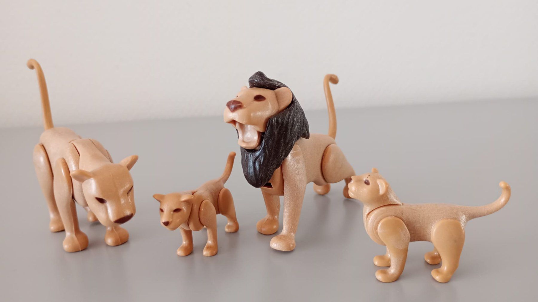 Playmobil Giocattoli: Playmobil Set Löwe – Usato da Stein AR venduto da bigjohn82 1