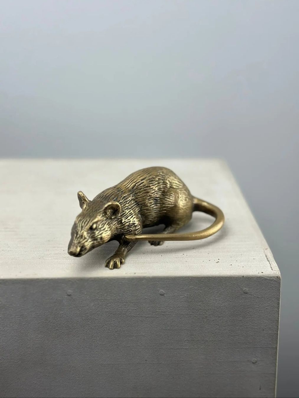 Statuette: Rat en bronze – Nuovo (secondo la descrizione) da Lausanne venduto da Toko_Lausanne 1