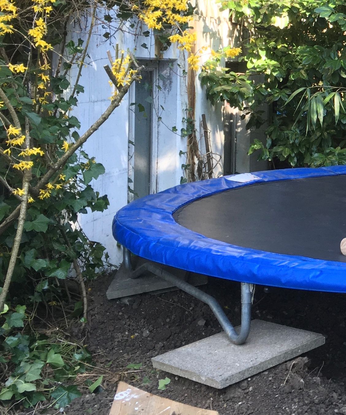 Trampolini: Trampolin gross 3,5m Durchmesser – Usato da Uster venduto da konodowarad