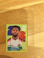 Panini WM 2026, HAI 16, Casimir