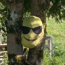 Profile image of Ind_b5m2
