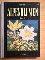 Alpenblumen Band II Walter Rytz Buch
