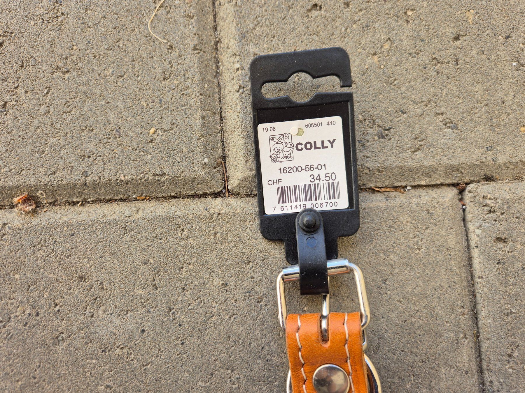 Leine & Halsband: Hundehalsband echt Leder "COLLY" – Neu und originalverpackt aus Uitikon Waldegg von AnjS27 3