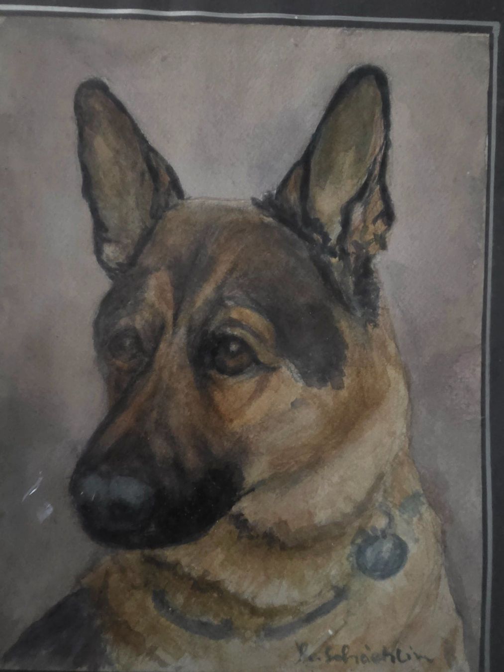 Gemälde: Bild Gemälde Schäfer Hund signiert – Gebraucht aus Walterswil BE von Lonitti 4