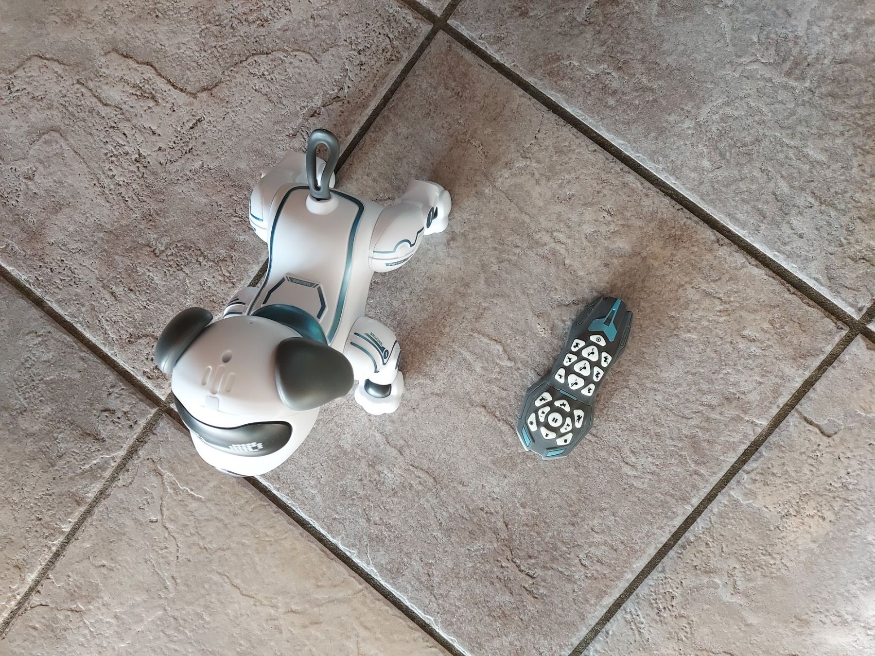 Giocattoli: Roboterhund mit Fernbedienung – Usato da Neuenegg venduto da RESI06 2