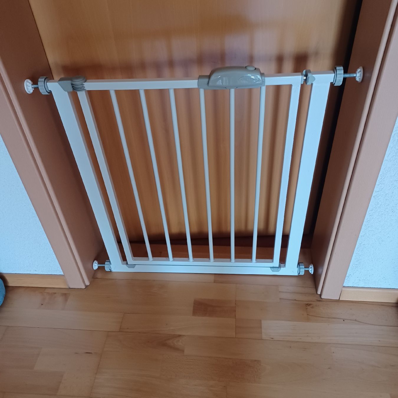 Autres: Absperrgitter , Türgitter , Treppengitter – D'occasion à Waldkirch par Fantasia-101