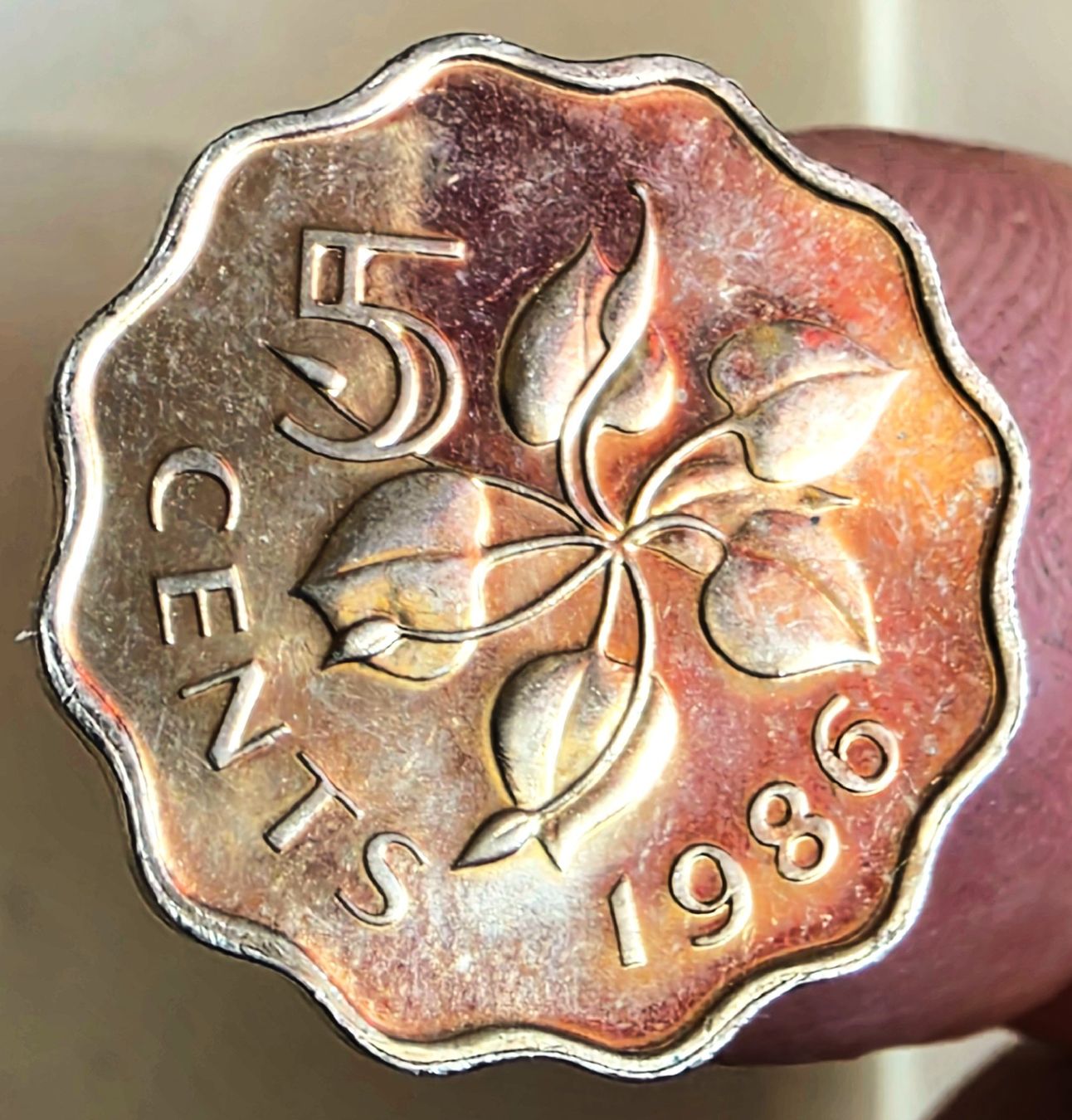 Tutti le monete: SWAZILAND 5 CENTS 1986 – Usato da winterthur venduto da CoinPassion