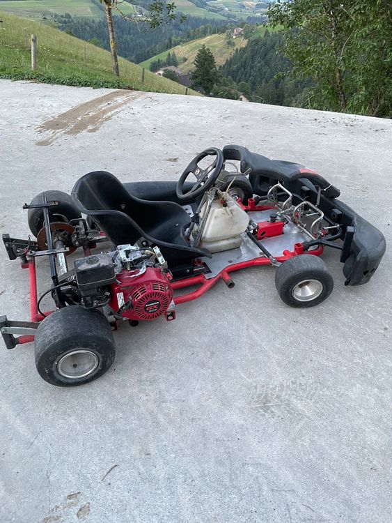 Go-Kart: Go Kart – Usato da Menzberg venduto da mike.h 1