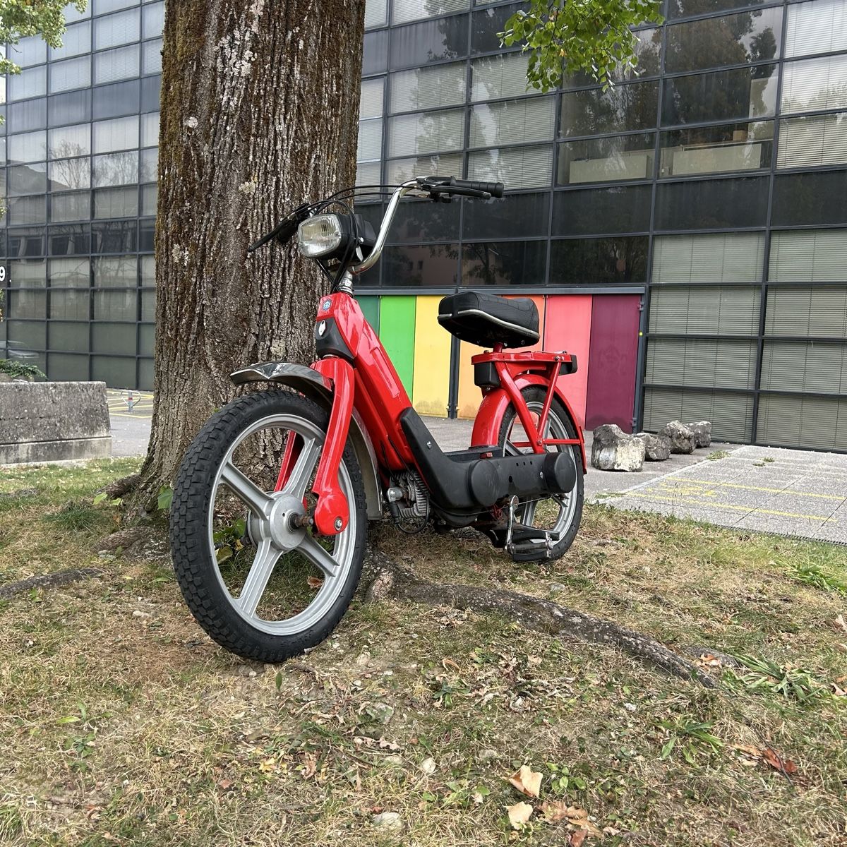Piaggio Ciclomotori: Piaggio ciao - Top Zustand – Usato da Ipsach venduto da InterEngine 6