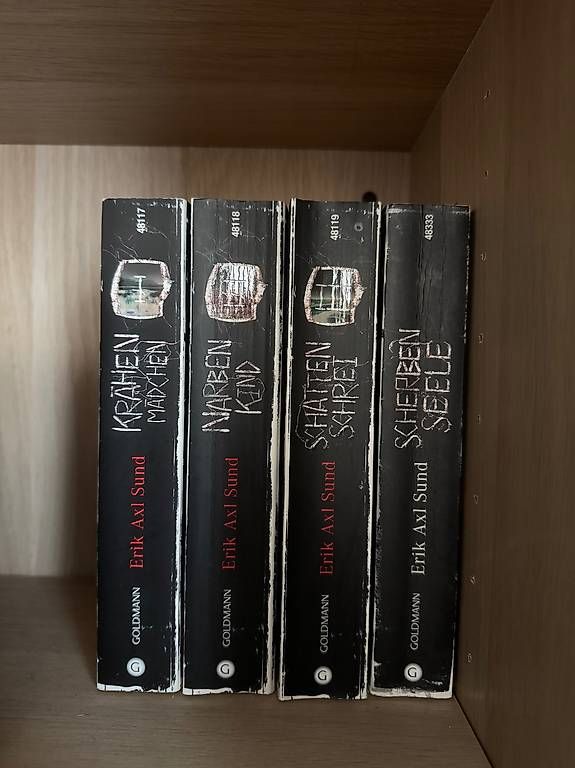 Libri: Erik Axl Sund Thriller-Set – Usato da Dietikon venduto da Julia.obers 1