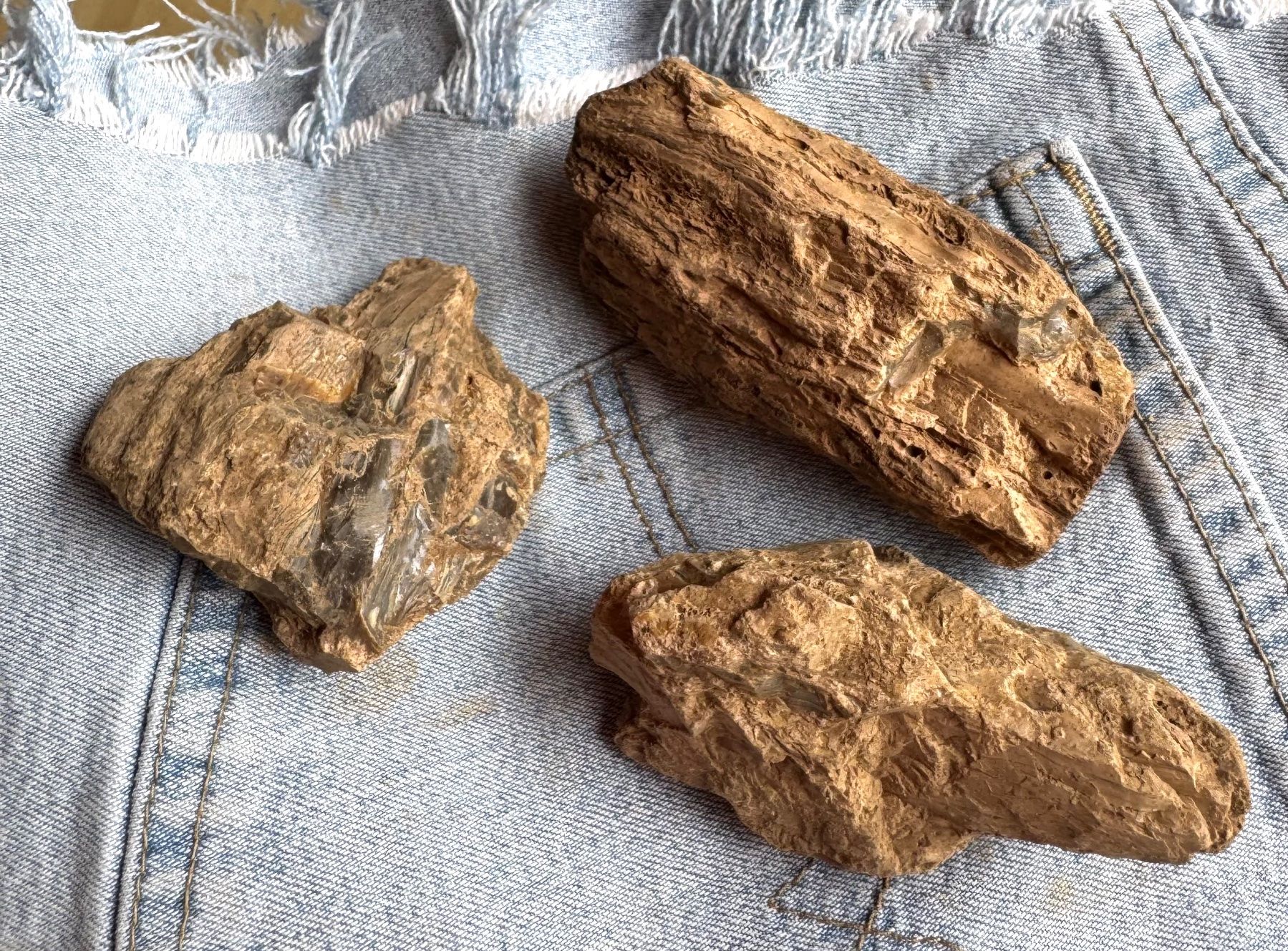 Fossilien: Bernstein  Amber   grosse Brocken    AMBER  aus Sumatra – Neu und originalverpackt aus Leuggern von gemshow 3