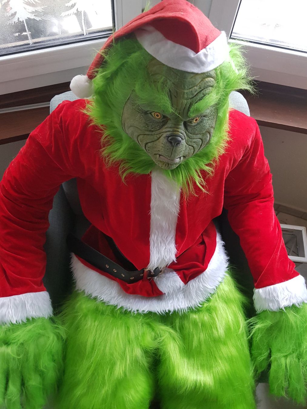 THE GRINCH/ LEBENSGROSS/ SEHR COOL FÜR WEIHNACHTEN (Neu (gemäss Beschreibung)) in Root für CHF 150 – mit Lieferung auf Ricardo kaufen