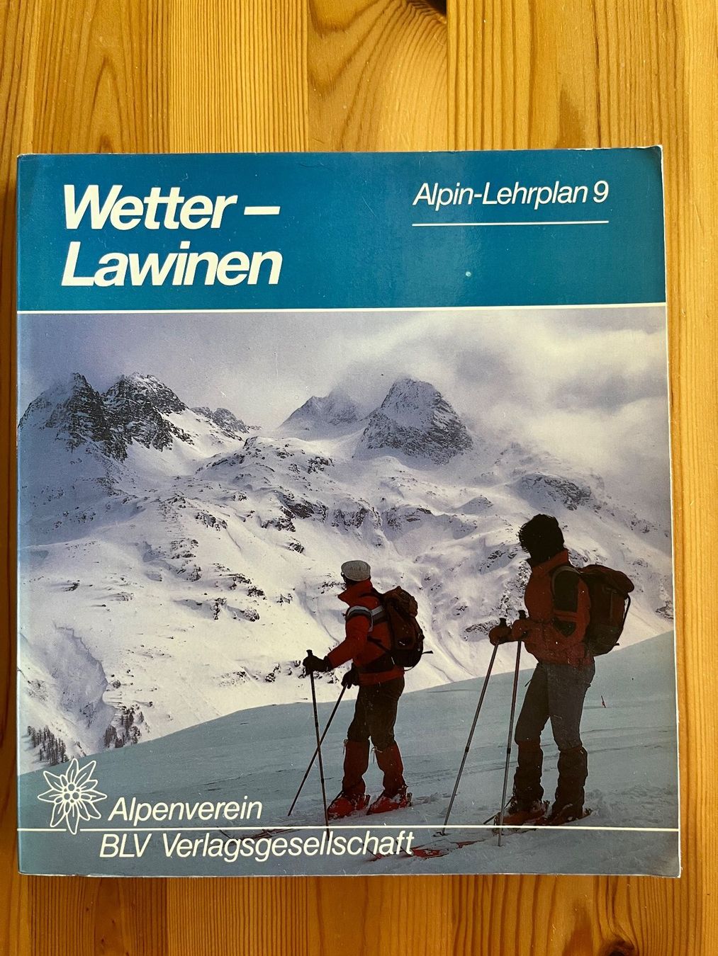 Libri: Wetter Lawinen Alpin Lehrplan 9 – Usato da Zürich venduto da Gurkis