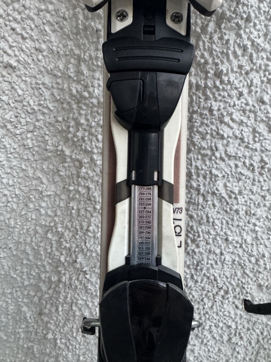 Salomon Sci: Salomon Bamboo Ski – Usato da Ebmatingen venduto da lia_chv2 1
