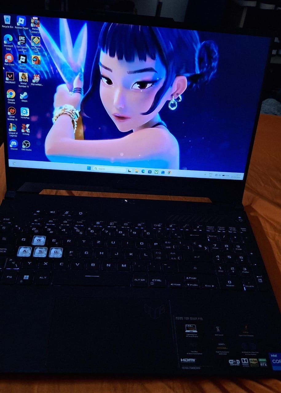 Asus Notebook: Asus TUF F15 – Usato da Schaffhausen venduto da IkerNagua95