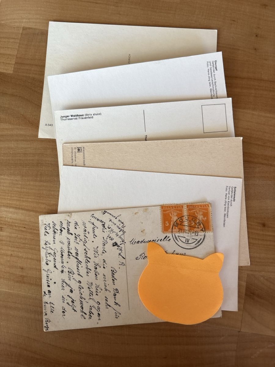 Ansichtskarten: AK mit Foto von Vögel – Gebraucht aus Rümlang von Kartenpost1 1