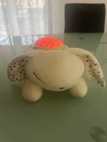 Hase mit Sternprojektion