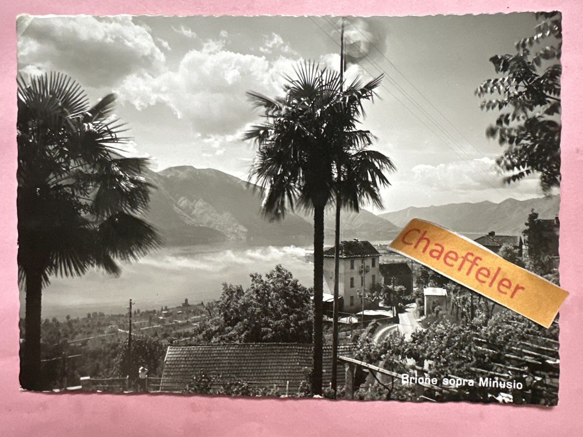 Cartoline postali: 1956 Brione sopra Minusio – Usato da Zürich venduto da Chaeffeler