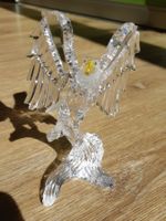 Swarovski Weisskopfseeadler