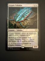 Cryptic Trilobite