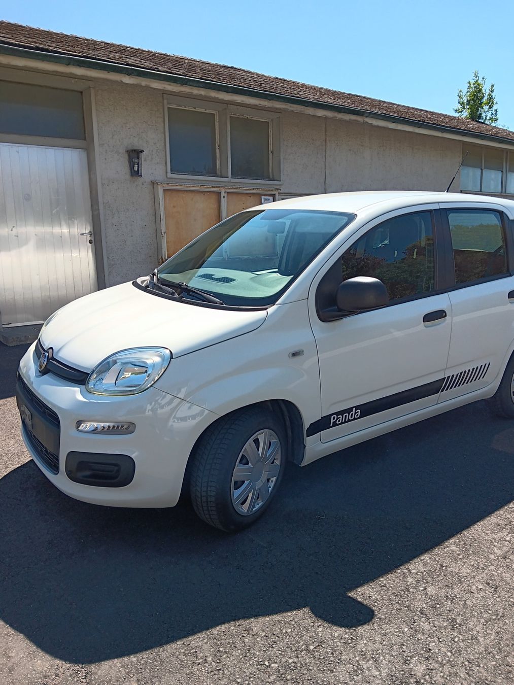 Fiat Autos: Fiat Panda 1,2  8V – Gebraucht aus Rikon im Tösstal von hurrli46
