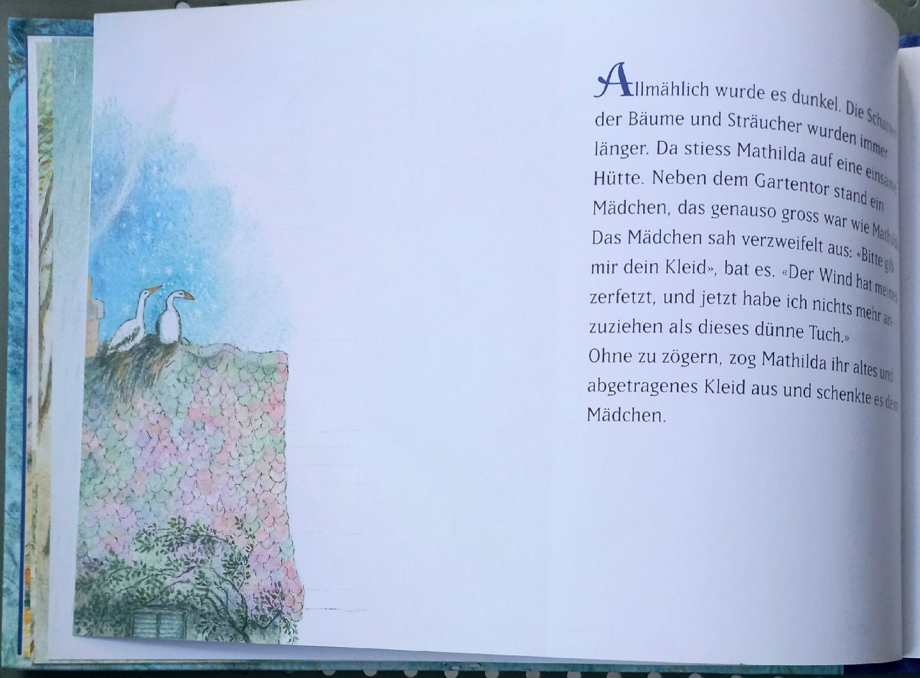 Libri: Buch - Die Sterntaler - Gebrüder Grimm – Usato da Niederuzwil venduto da lubimaja 4